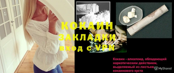 прущие грибы Абинск