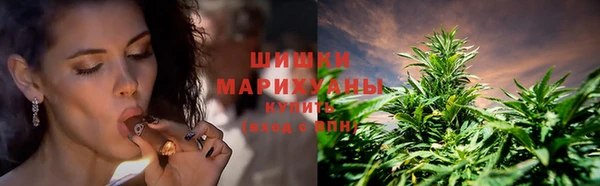 PSILOCYBIN Абаза