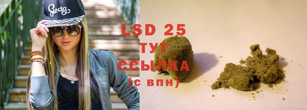 PSILOCYBIN Абаза