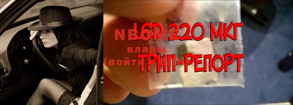 прущие грибы Абинск