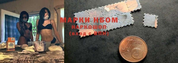 прущие грибы Абинск