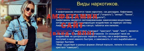 прущие грибы Абинск