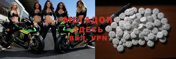 прущие грибы Абинск