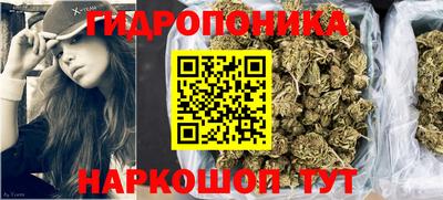 твердый Кингисепп