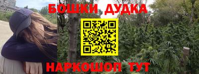 твердый Кингисепп