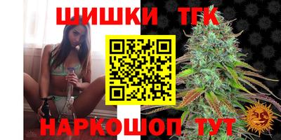 твердый Кингисепп