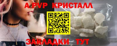 твердый Кингисепп
