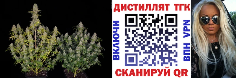 ТГК вейп  Кингисепп 