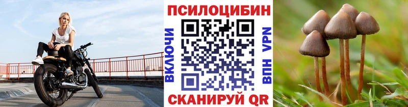 даркнет телеграм  Кингисепп  Псилоцибиновые грибы GOLDEN TEACHER  где можно купить наркотик 