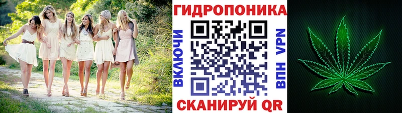 Бошки марихуана Amnesia Кингисепп